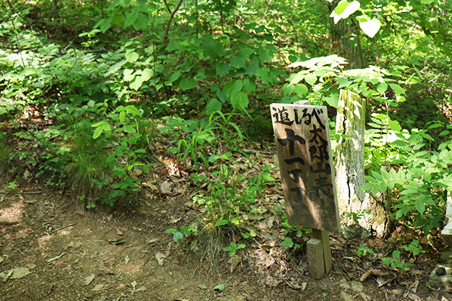 絶望の十一丁丁石